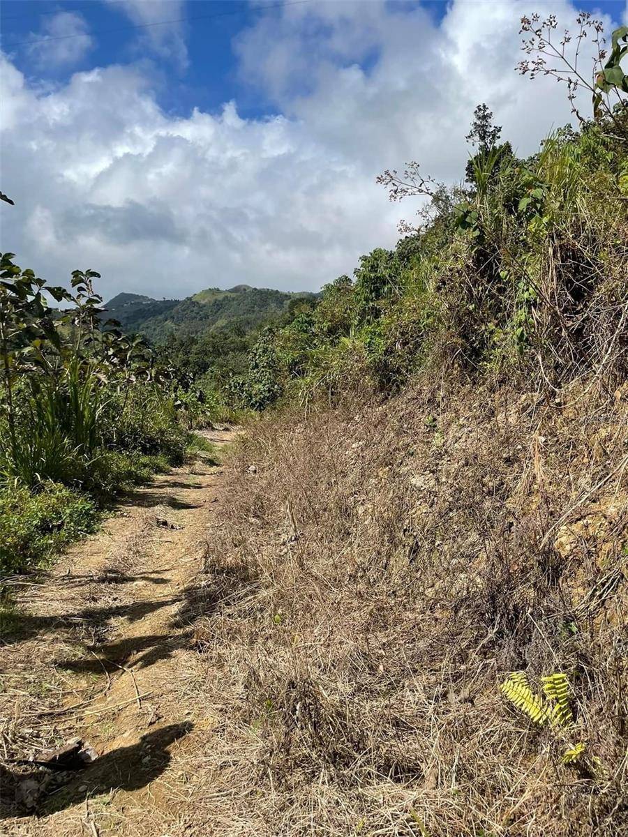 Orocovis, PR 00720,155