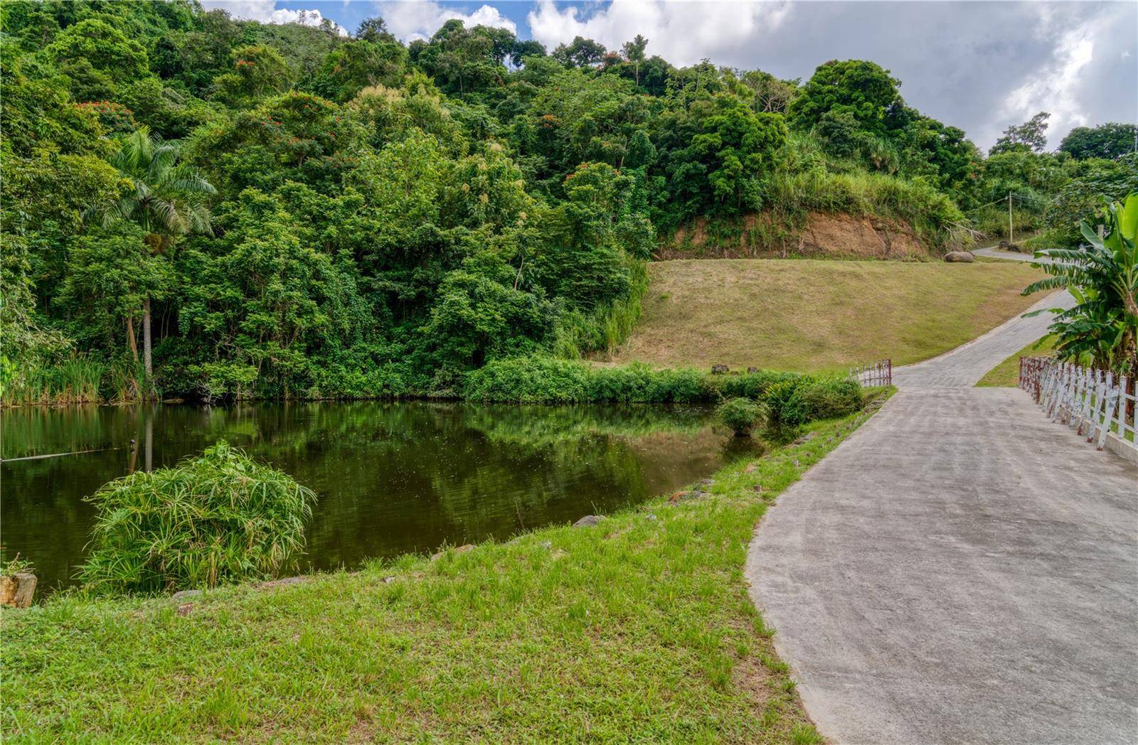 Coamo, PR 00769,Carr. 595 Km 1.9 HACIENDA UBIA