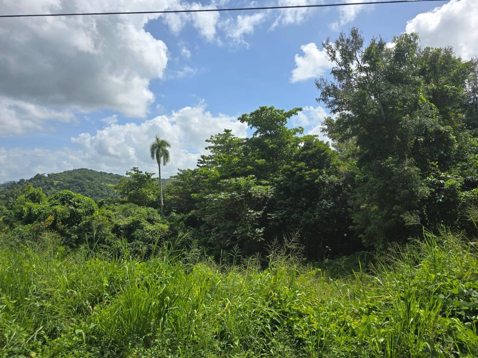 Ciales, PR 00638,Bo Cordilleras PR 166