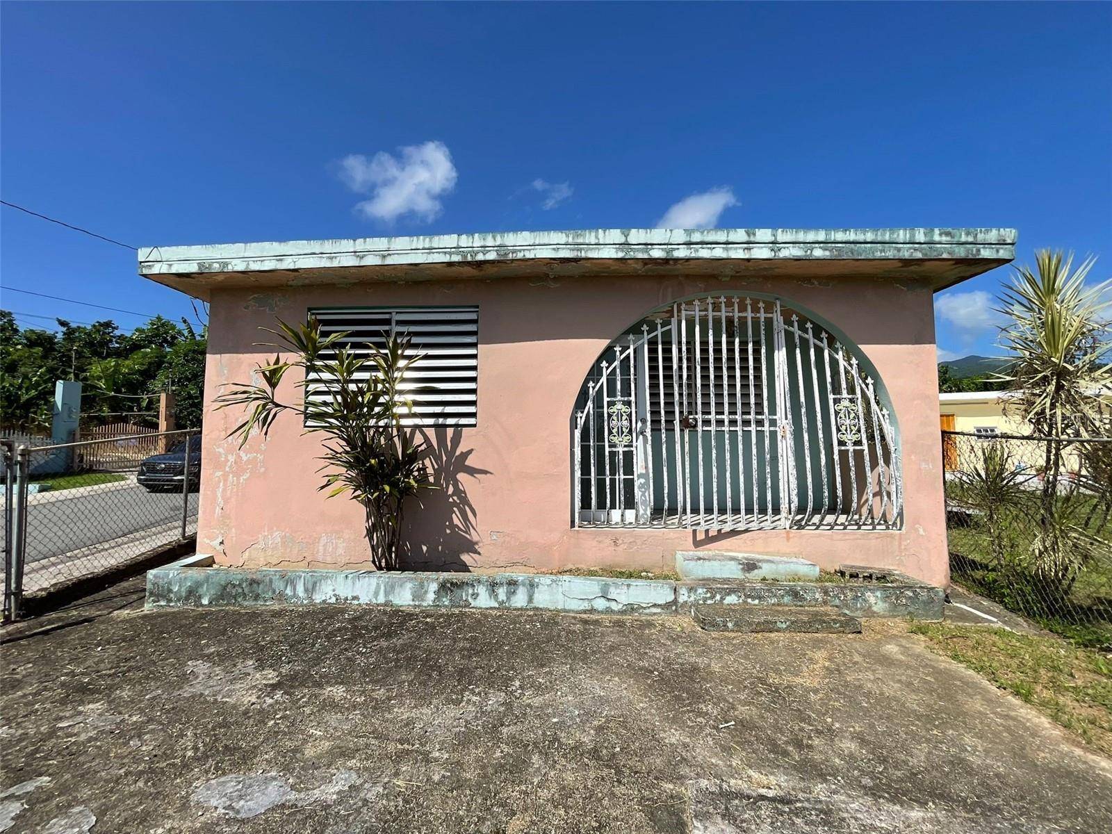 Juncos, PR 00777,Calle 4 BARRIO EL MANGO