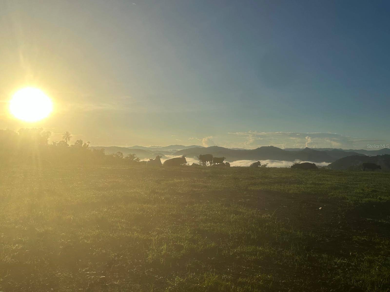 Barranquitas, PR 00794,Km. 7.6 CARR #152