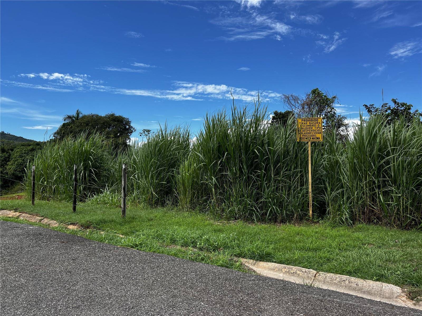 Mayaguez, PR 00680,Carr. 106 Km 6.6 BO. QUEMADO