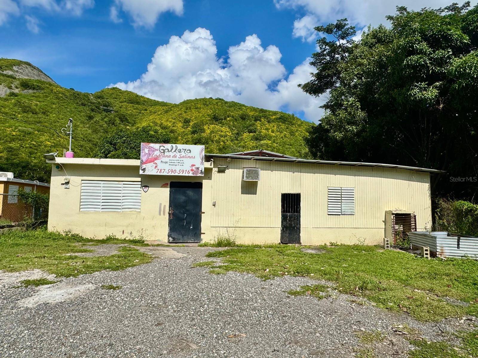 Salinas, PR 00751,Barrio Quebrada Yeguas LA PLENA 94