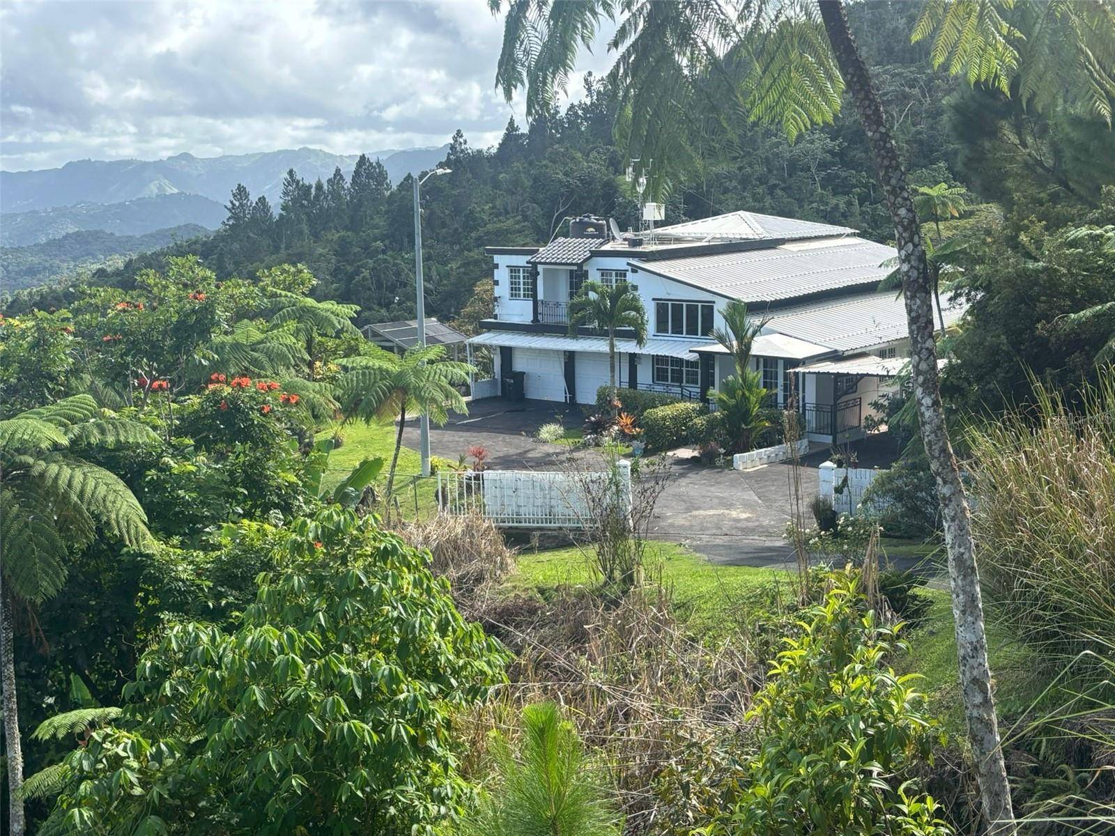 Ciales, PR 00638,4 HM, STREET 146 ROUTE 608 KM 6