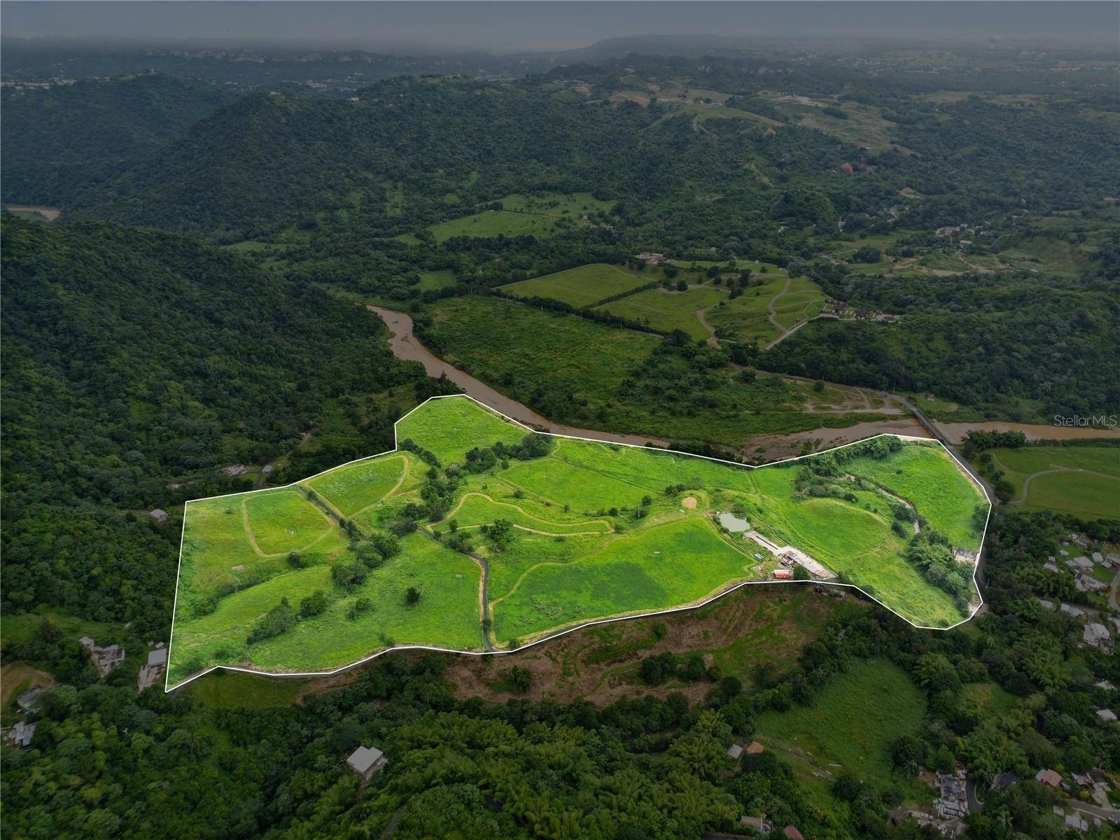 Morovis, PR 00687,567 BARRIO SAN LORENZO