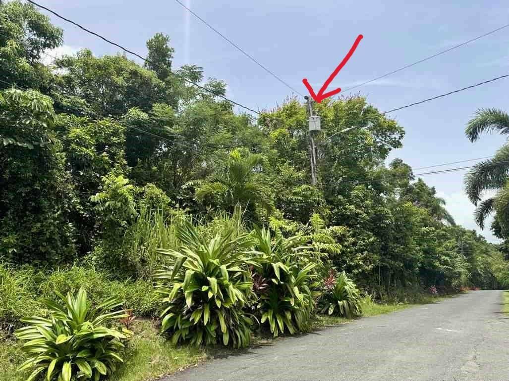 Rio Grande, PR 00721,LOS QUIANES