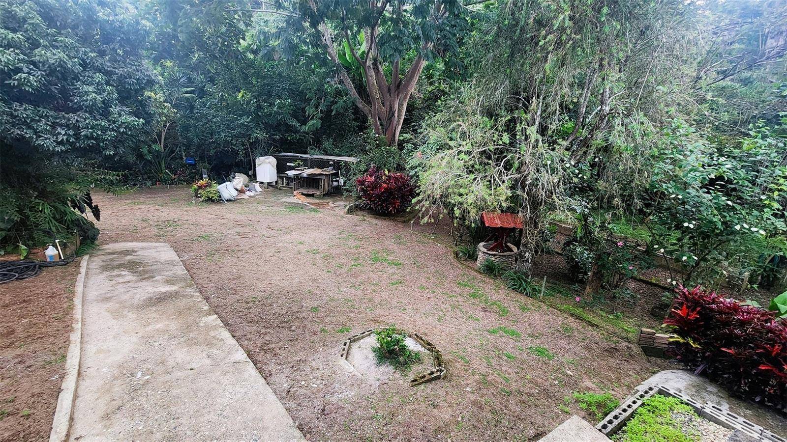 Utuado, PR 00641,Sector Cruces BO. PASO PALMAS