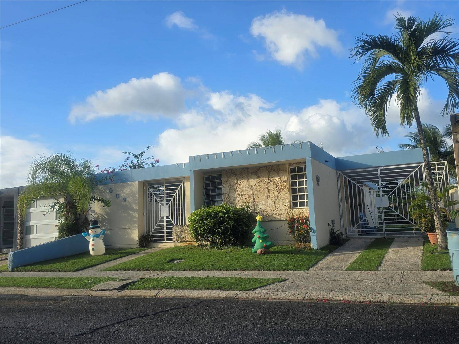 Carolina, PR 00987,GG MALAGUETA #9