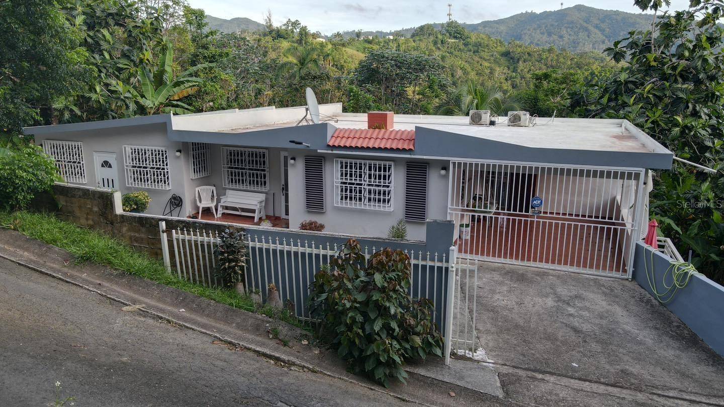 Cayey, PR 00736,21817 SECTOR MALUA