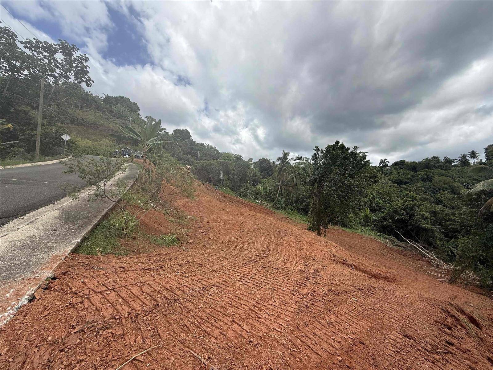 Mayaguez, PR 00680,ROAD 106 KM 6.2