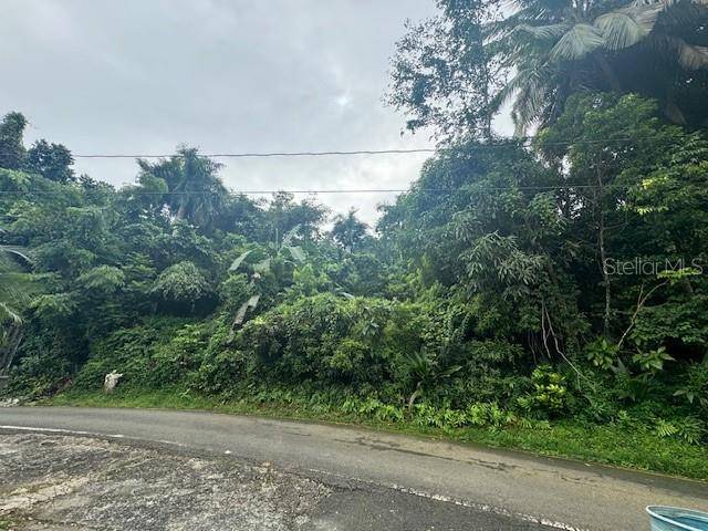 Caguas, PR 00725,175 BO SAN ANTONIO