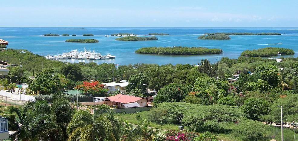 Lajas, PR 00667,CAMINO PUERTO VIEJO