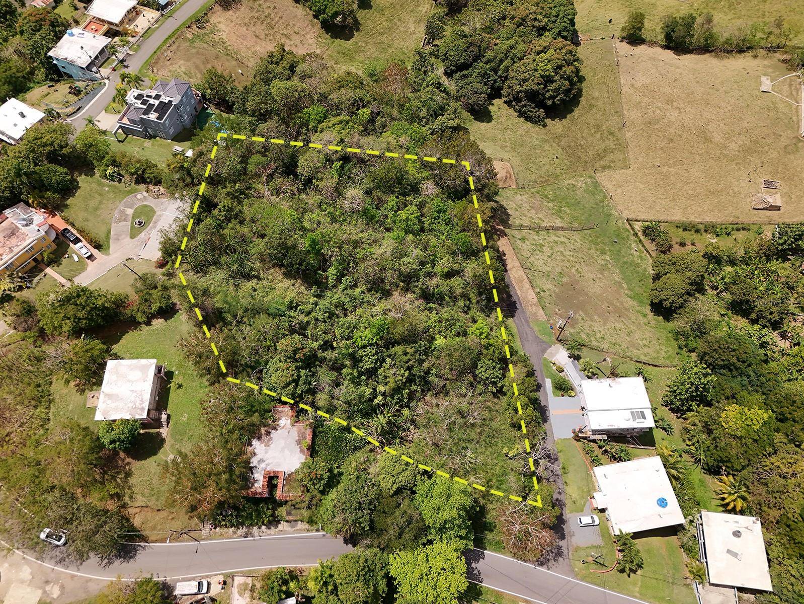 Rincon, PR 00677,Km 5.1 Lot #1 CARR. 413