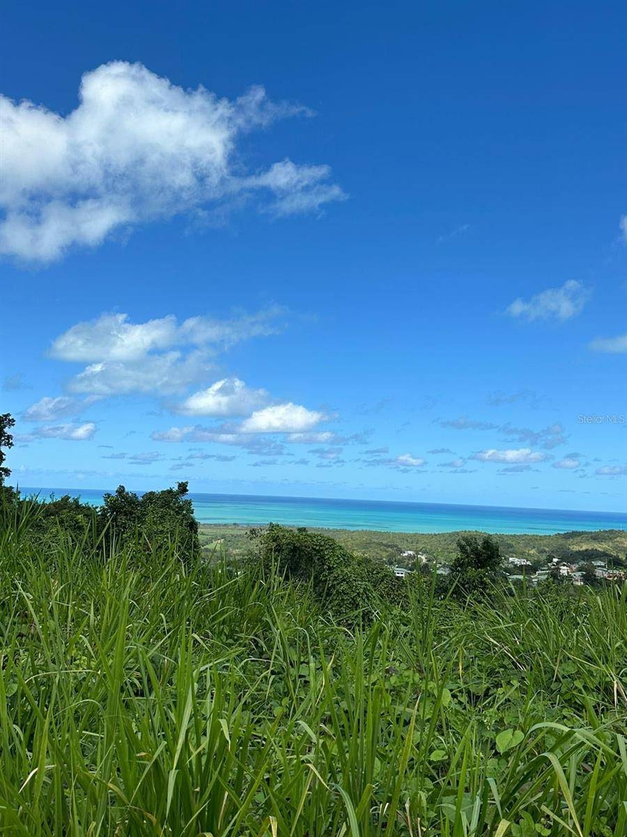Luquillo, PR 00773,PR 984 Km 1.5 Int. JUANMARTIN WARD