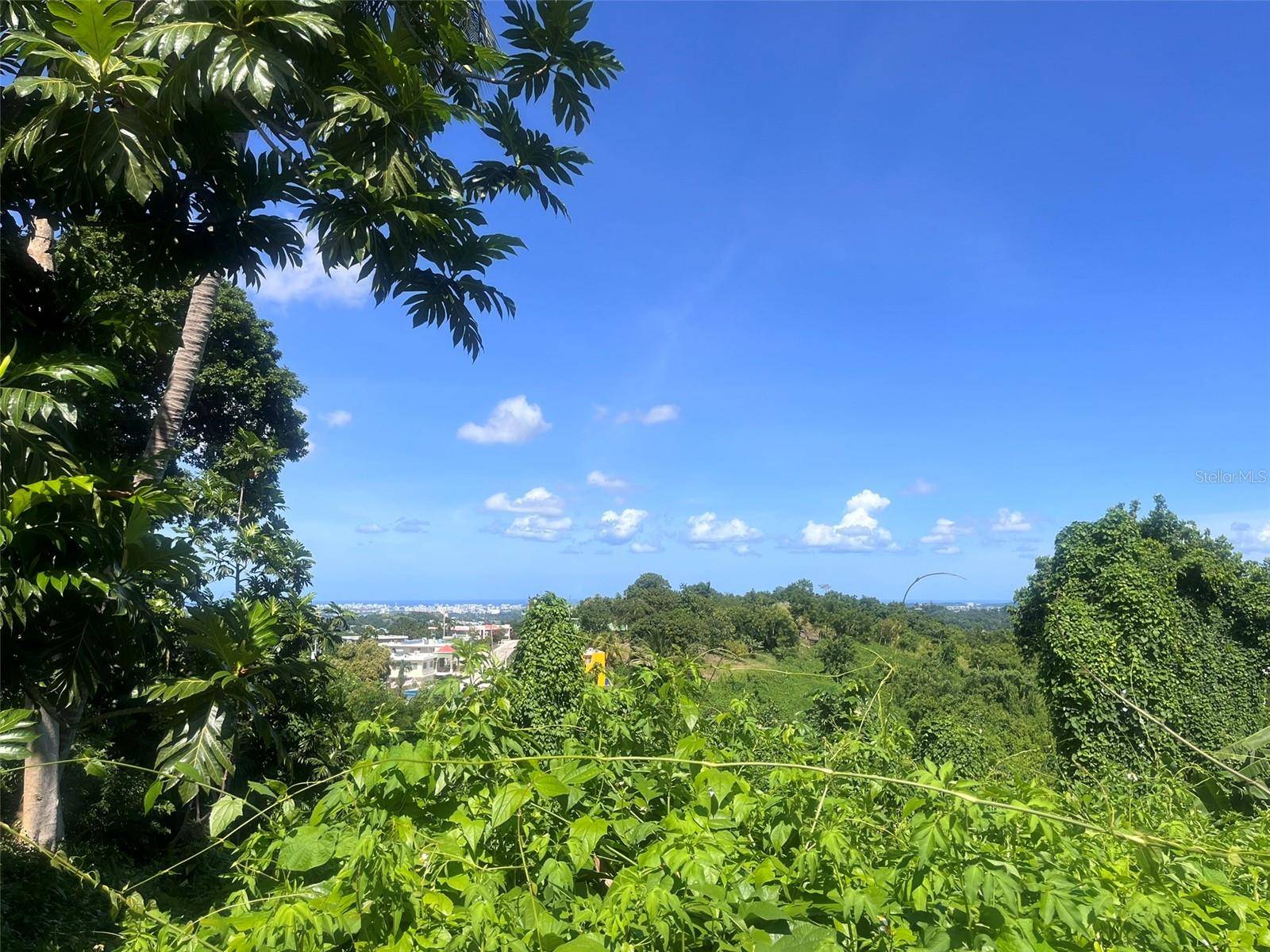 Guaynabo, PR 00969,BARRIO MAMEY