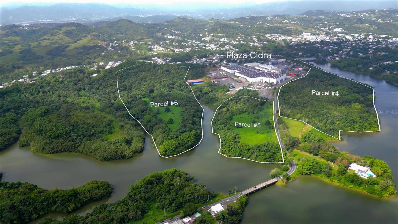 Cidra, PR 00739,PR-787