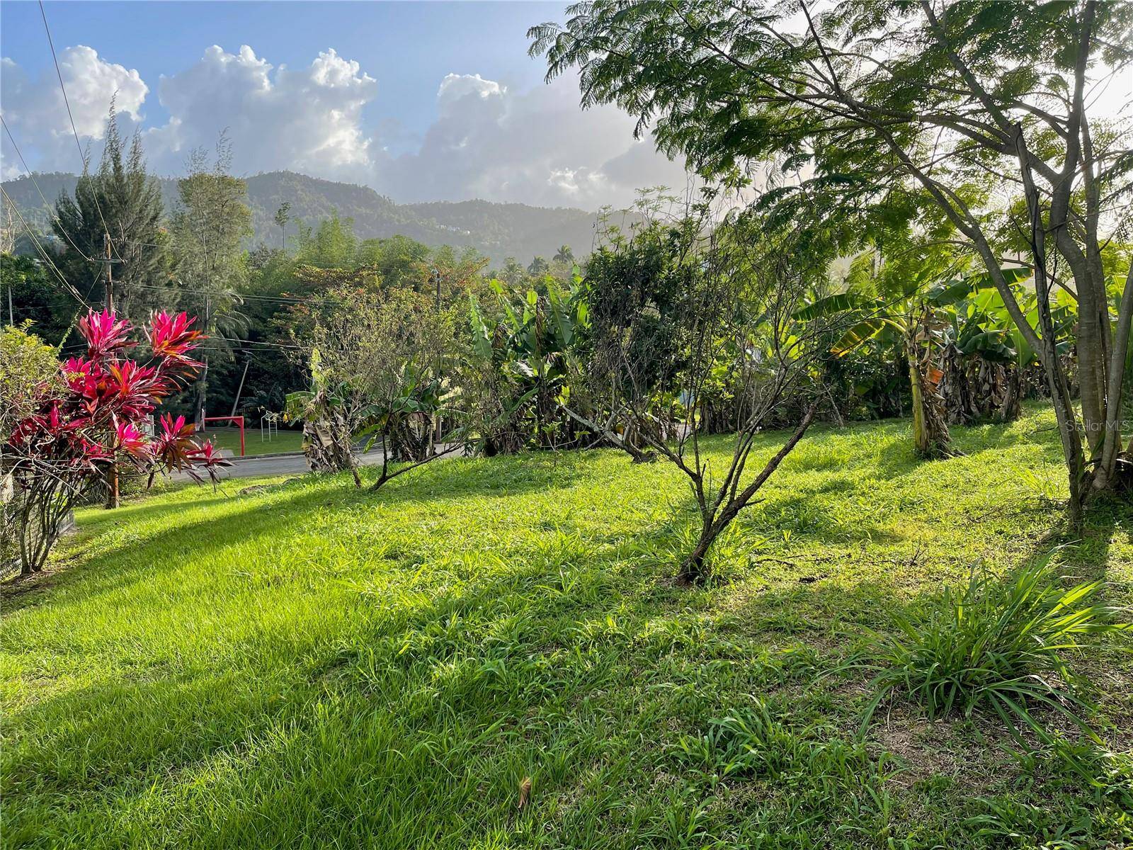 Caguas, PR 00725,VIEW DRIVE #B6