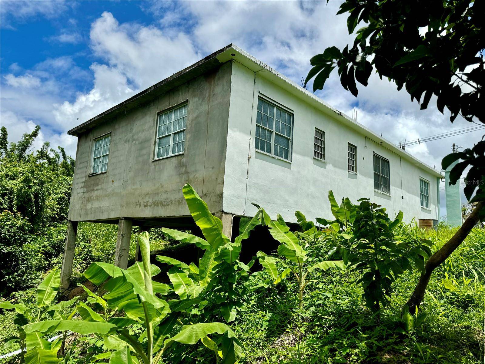 Rio Grande, PR 00745,Carr. 186 BO JIMENEZ KM. 25.1