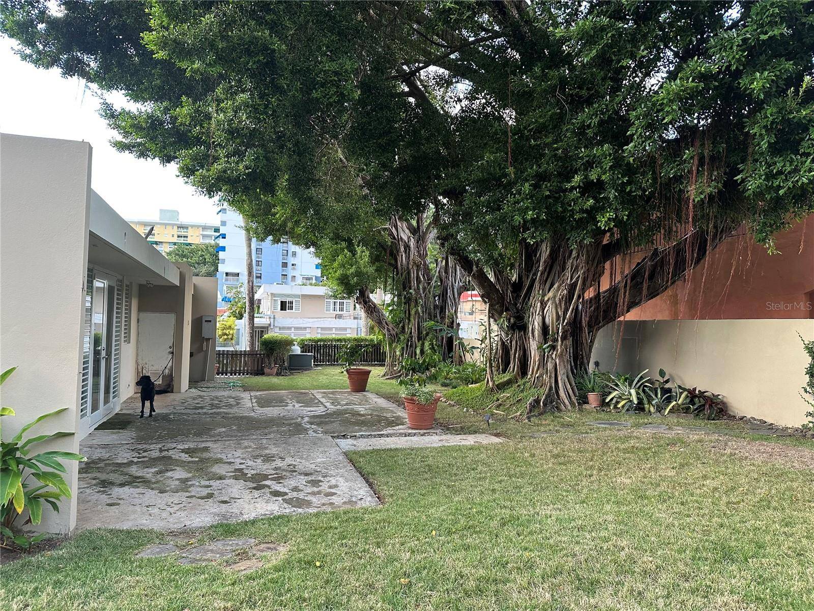 Guaynabo, PR 00968,B-3 CALLE AMARILLIS