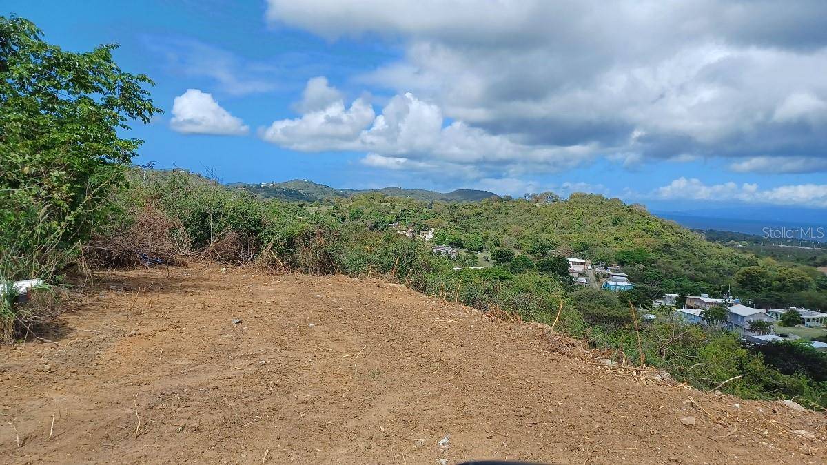 Vieques, PR 00765,LOMA LINDA
