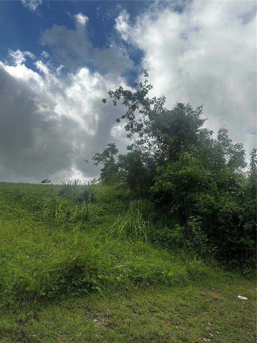 Luquillo, PR 00773,Comm OCEAN VIEW