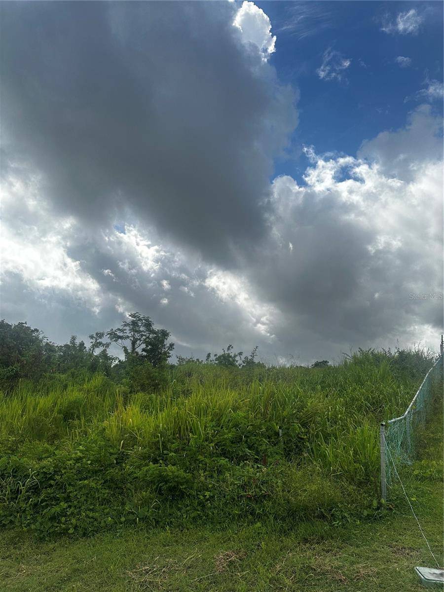 Luquillo, PR 00773,Comm OCEAN VIEW