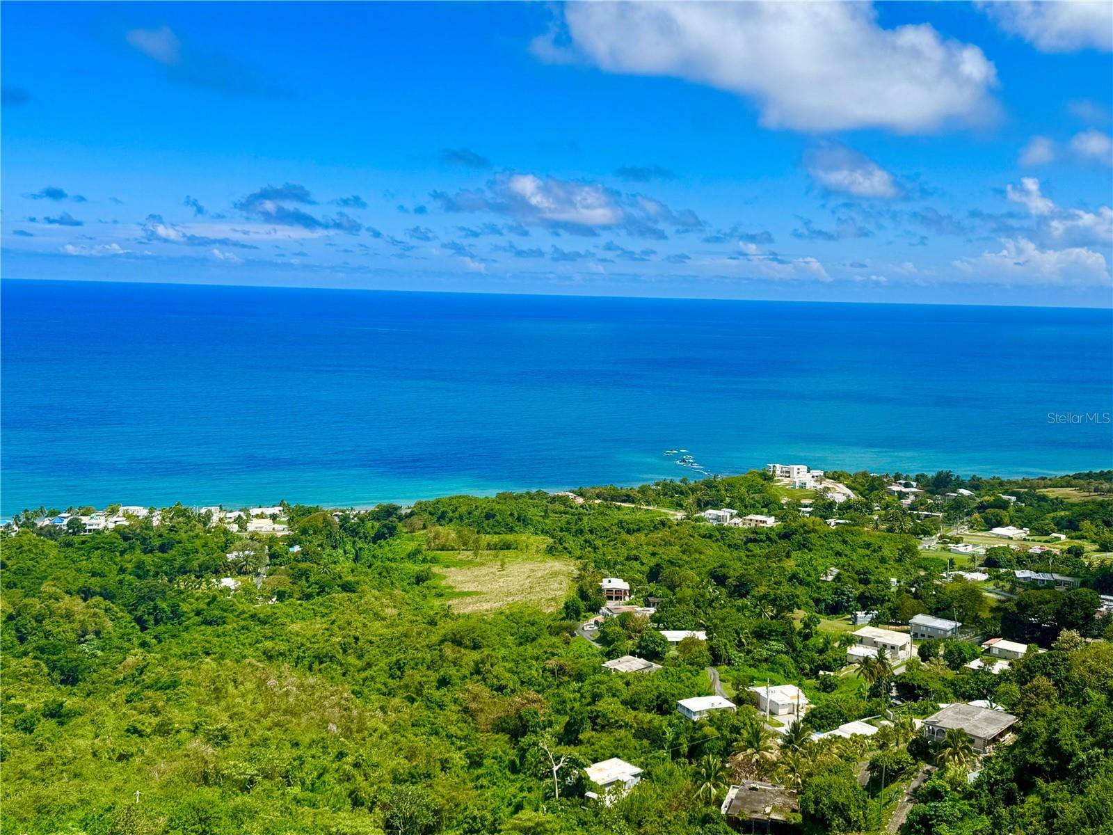 Yabucoa, PR 00767,Carr 901 km 8.8 CAMINO NUEVO