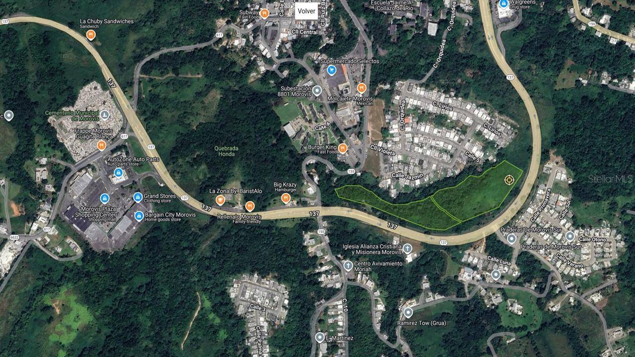 Morovis, PR 00687,PR-137 PRADERAS