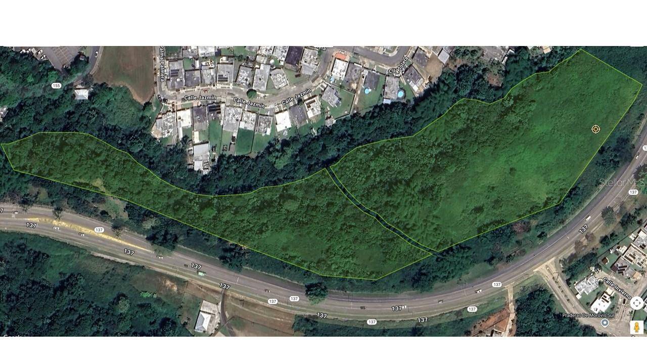Morovis, PR 00687,PR-137 PRADERAS