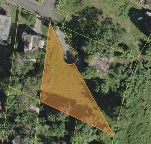 Dorado, PR 00646,COM. DORAVILLE