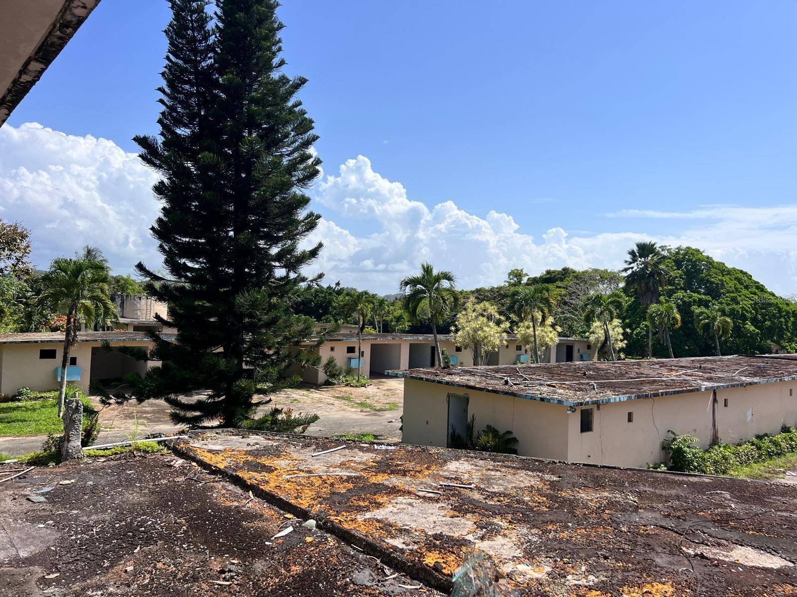 Arecibo, PR 00612,factor BO. FACTOR