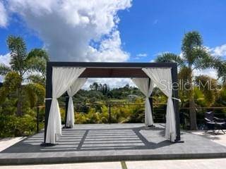 Morovis, PR 00687,Lot 8 PR-159 Km 1.9 Inter BO. UNIBON