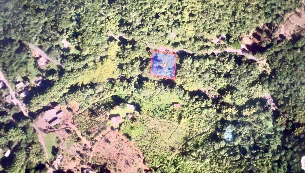 Mayaguez, PR 00680,Address not disclosed