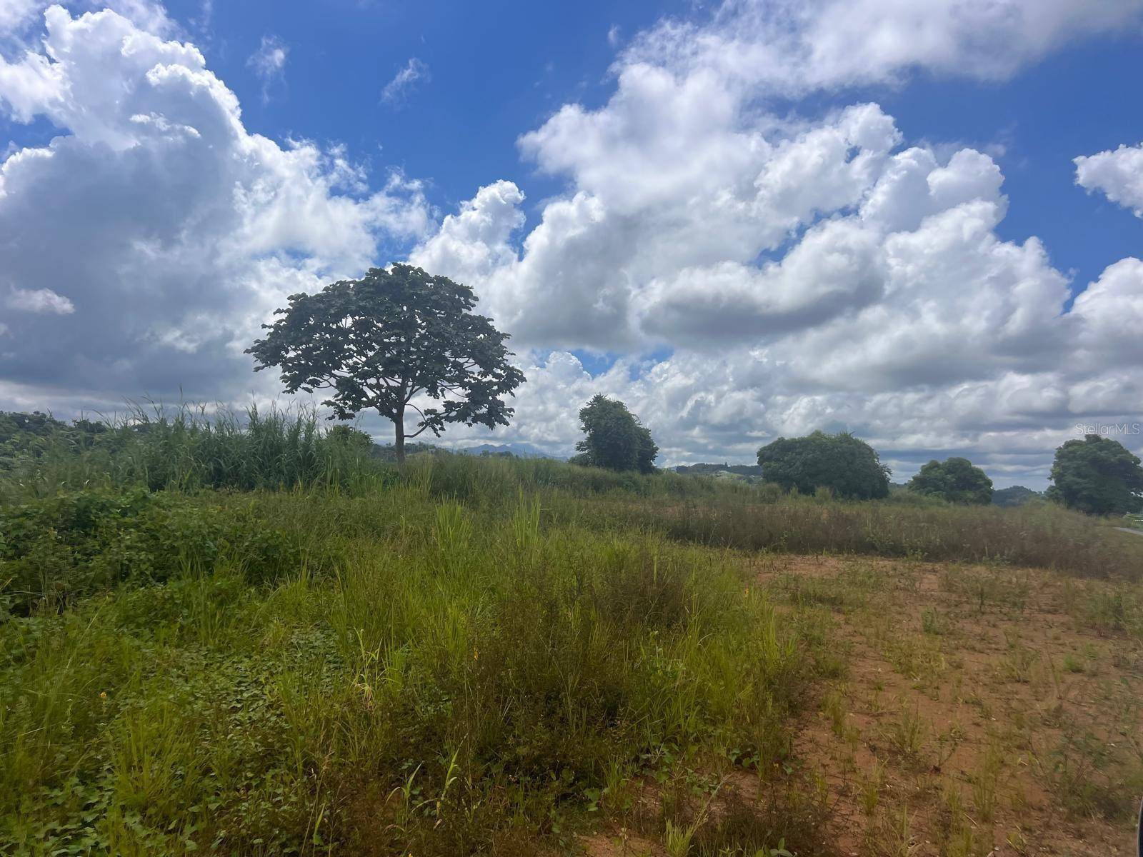 Morovis, PR 00687,PERCHAS