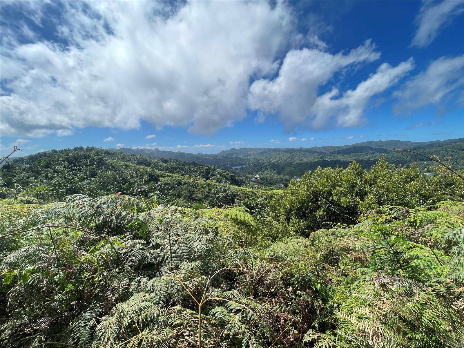 Adjuntas, PR 00601,PR-518 KM.10.0 GARZAS WARD