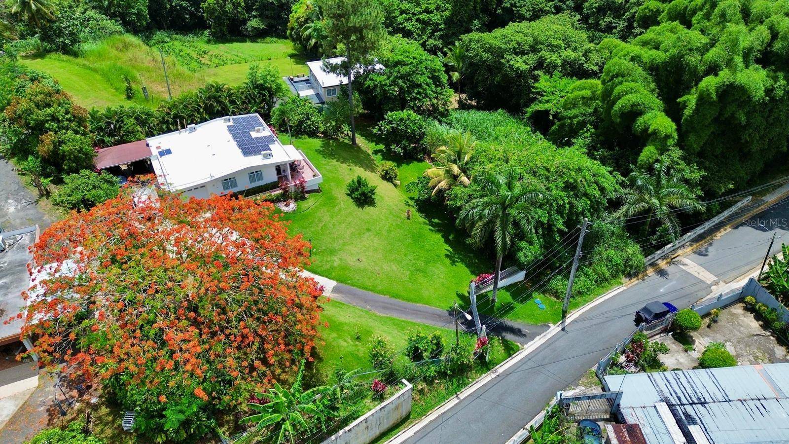Bayamon, PR 00956,Calle Estaban Cruz LOT #1 BO CERRO GORDO