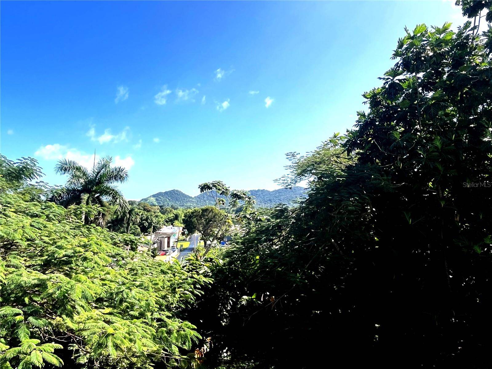 Humacao, PR 00791,PR 908 AUSUBO