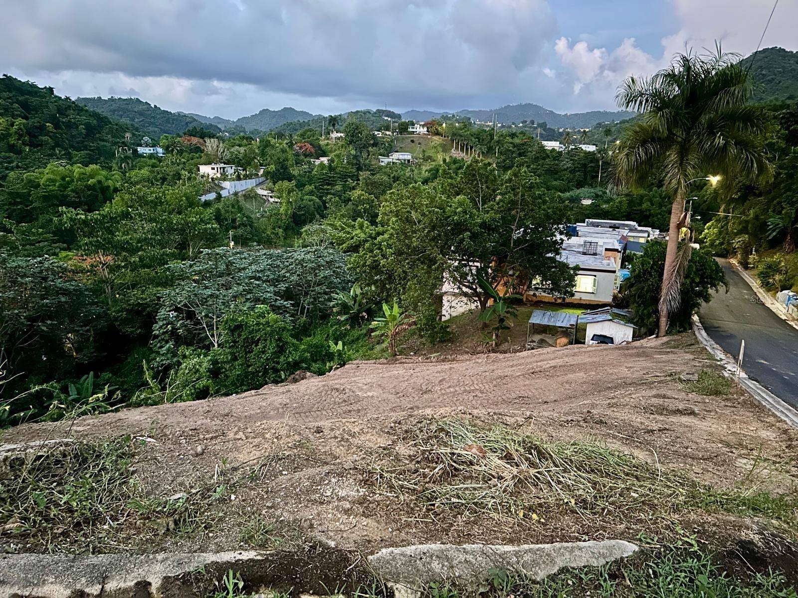 Naranjito, PR 00719,164 St. km 4.4 BO. NUEVO