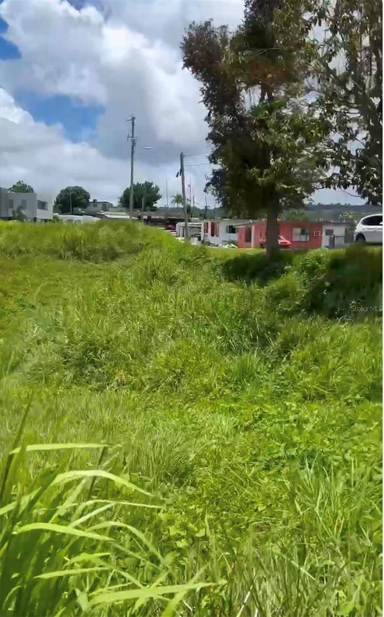 Corozal, PR 00783,PR807 Km.4.5 BO. PALOS BLANCOS