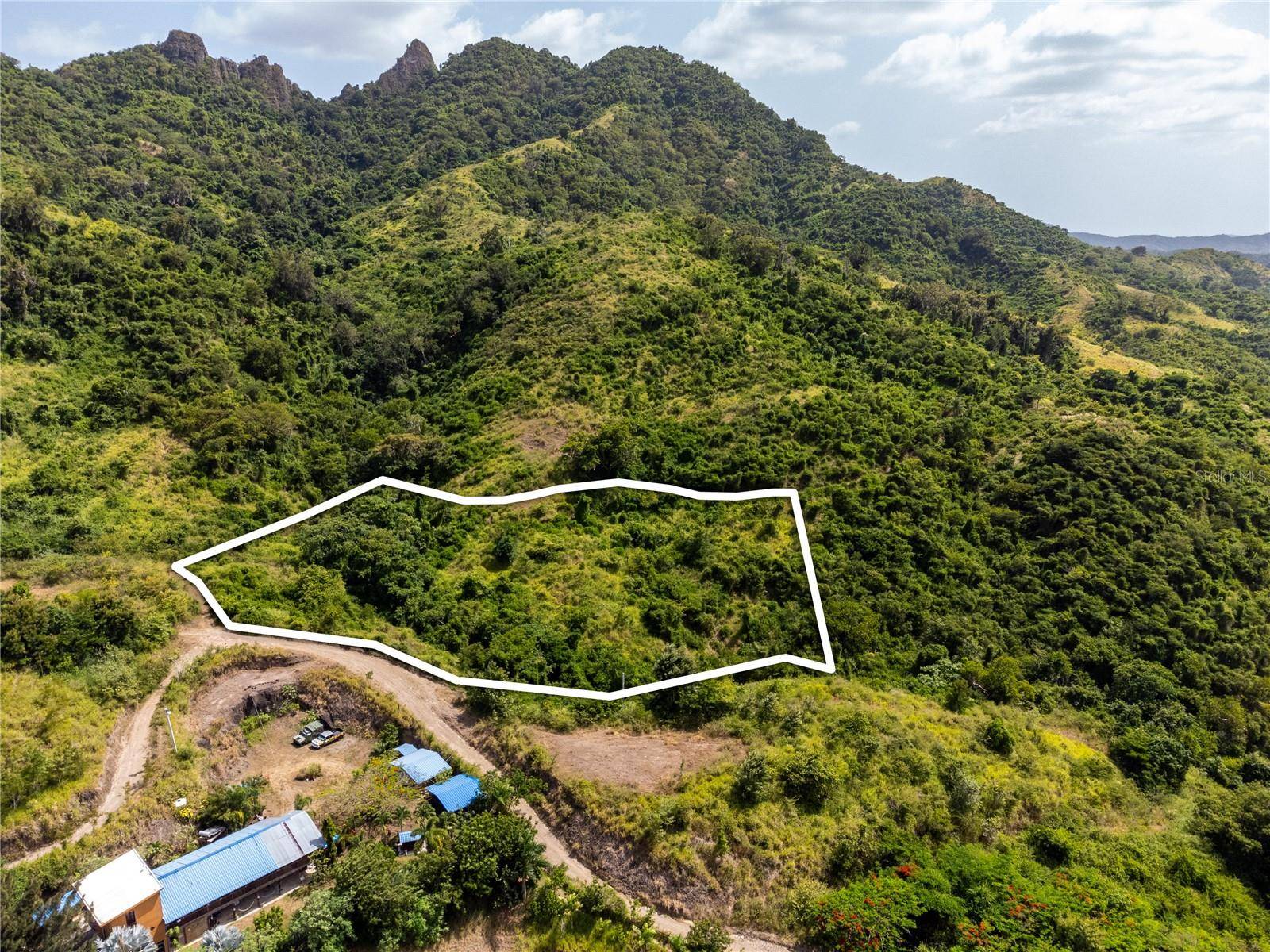 Coamo, PR 00769,CARR 704