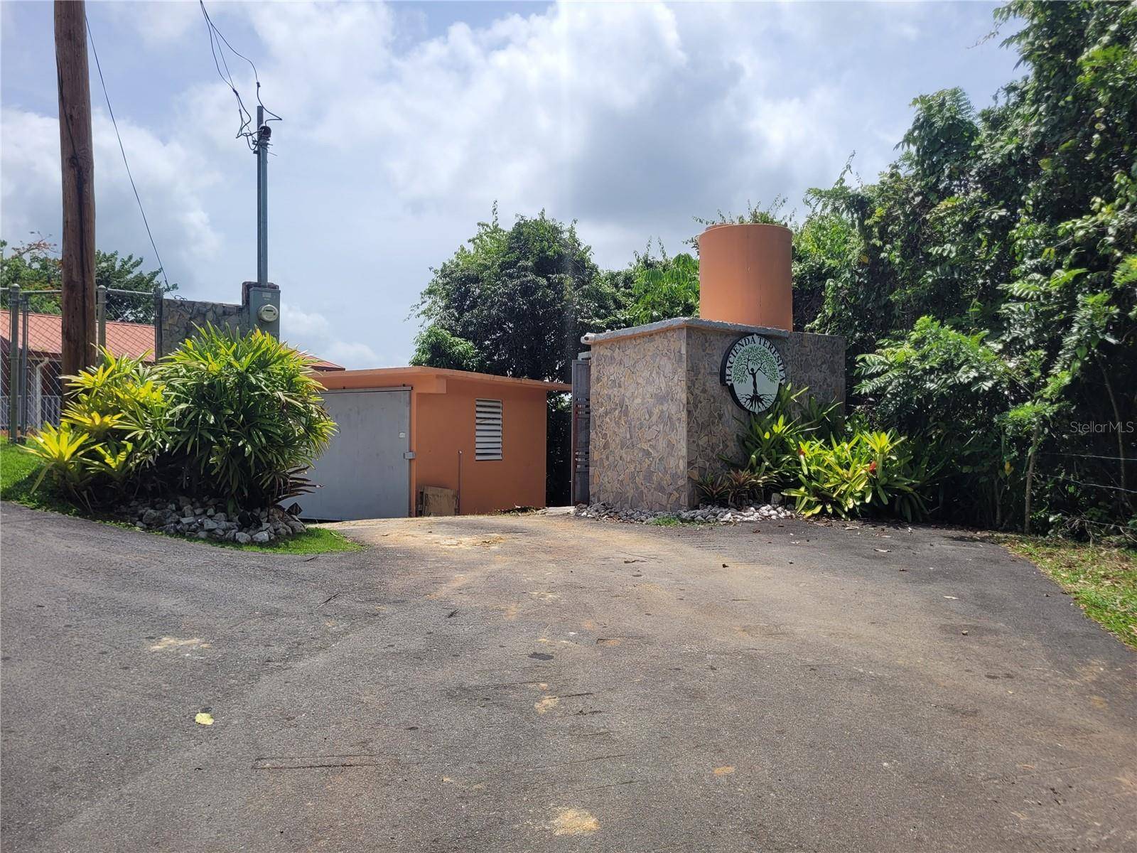 Aguas Buenas, PR 00703,PR156 MULAS