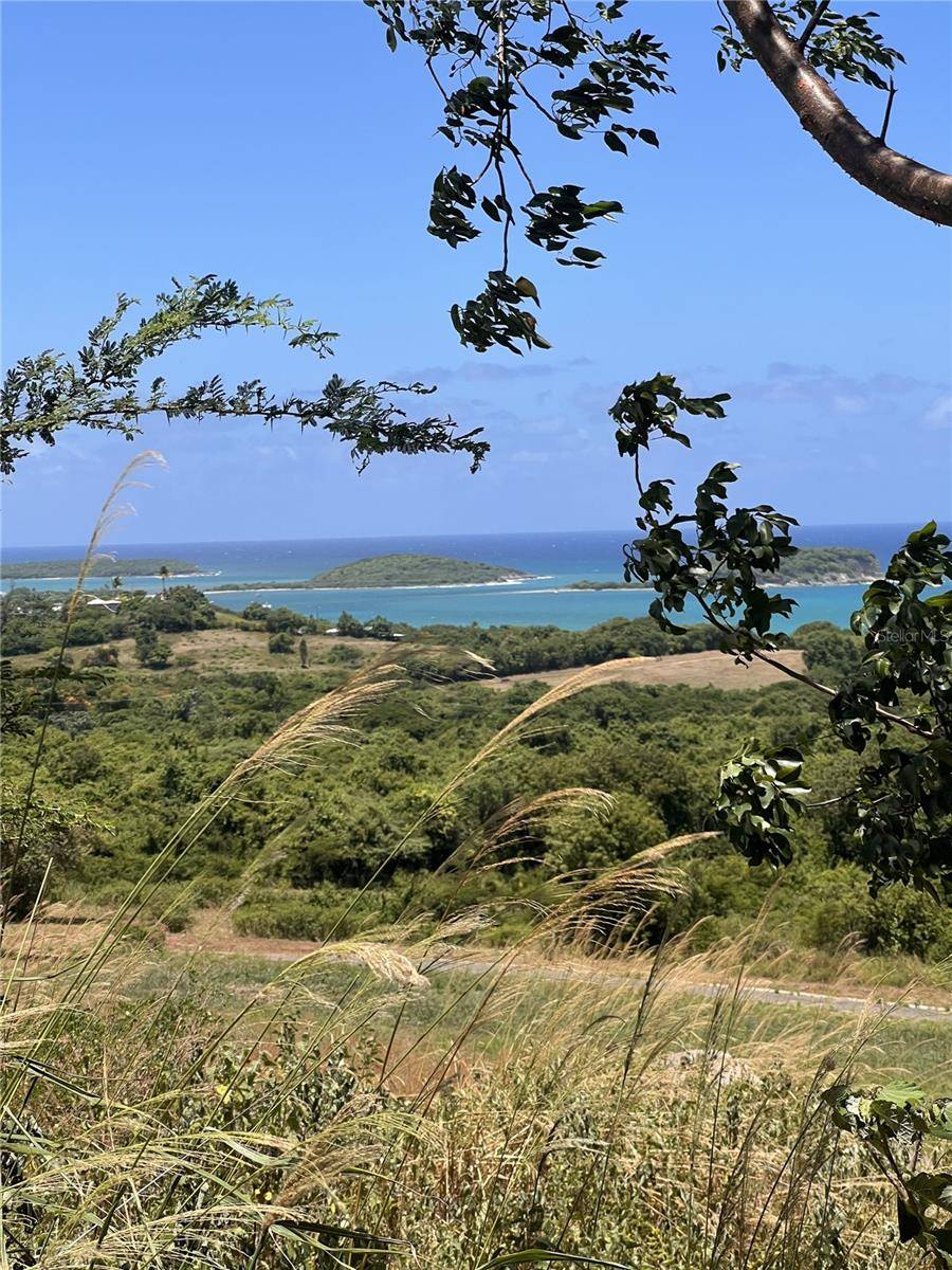 Vieques, PR 00765,LA HUECA VISTAS LOT 2