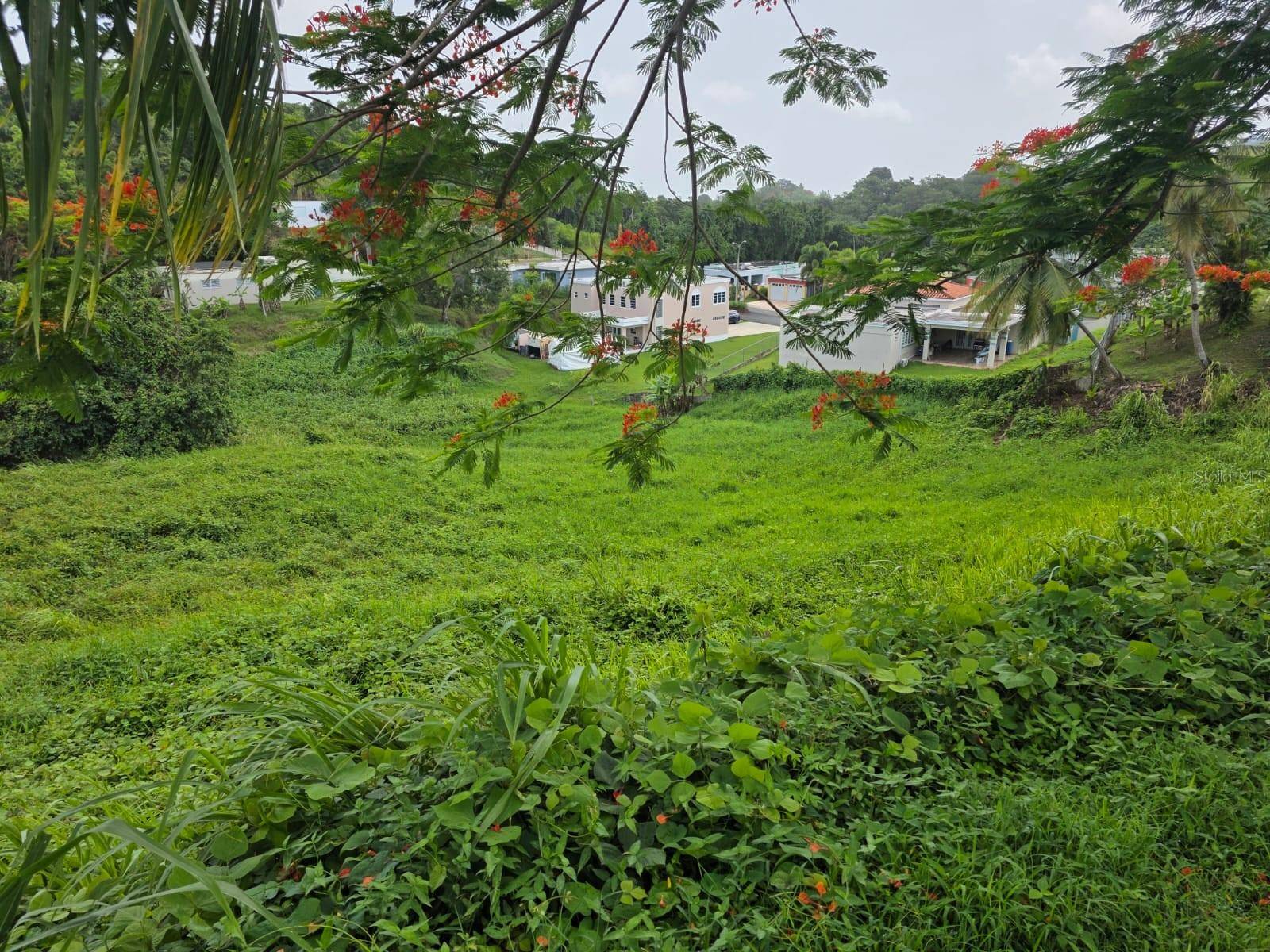 Canovanas, PR 00729,KM 4.5 SR 962 BO. CAMBALACHE