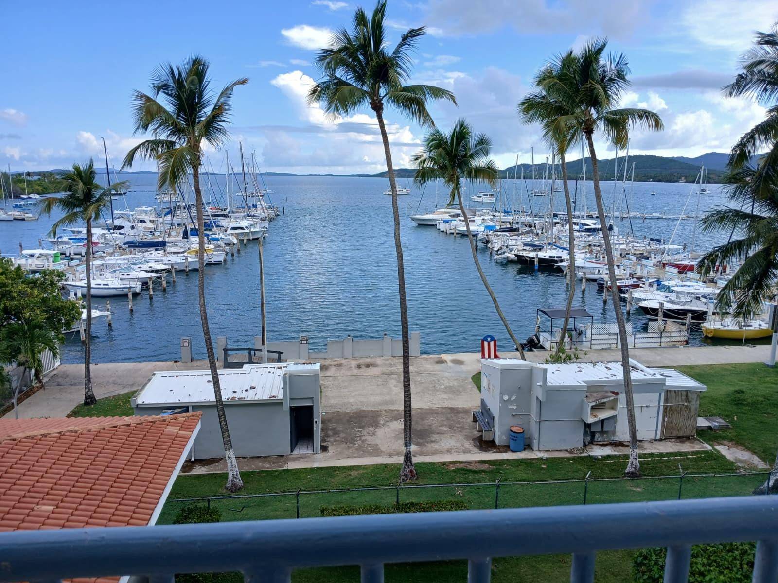 Fajardo, PR 00738,Tower 1 ISLETA MARINA #4C