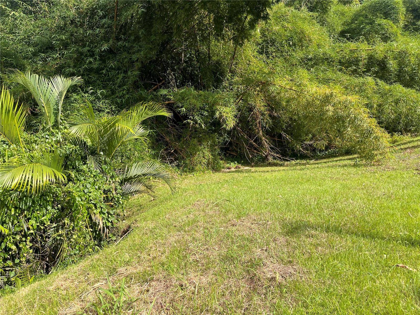 Cayey, PR 00736,Sector Pepe Hoyo BO. MONTELLANO