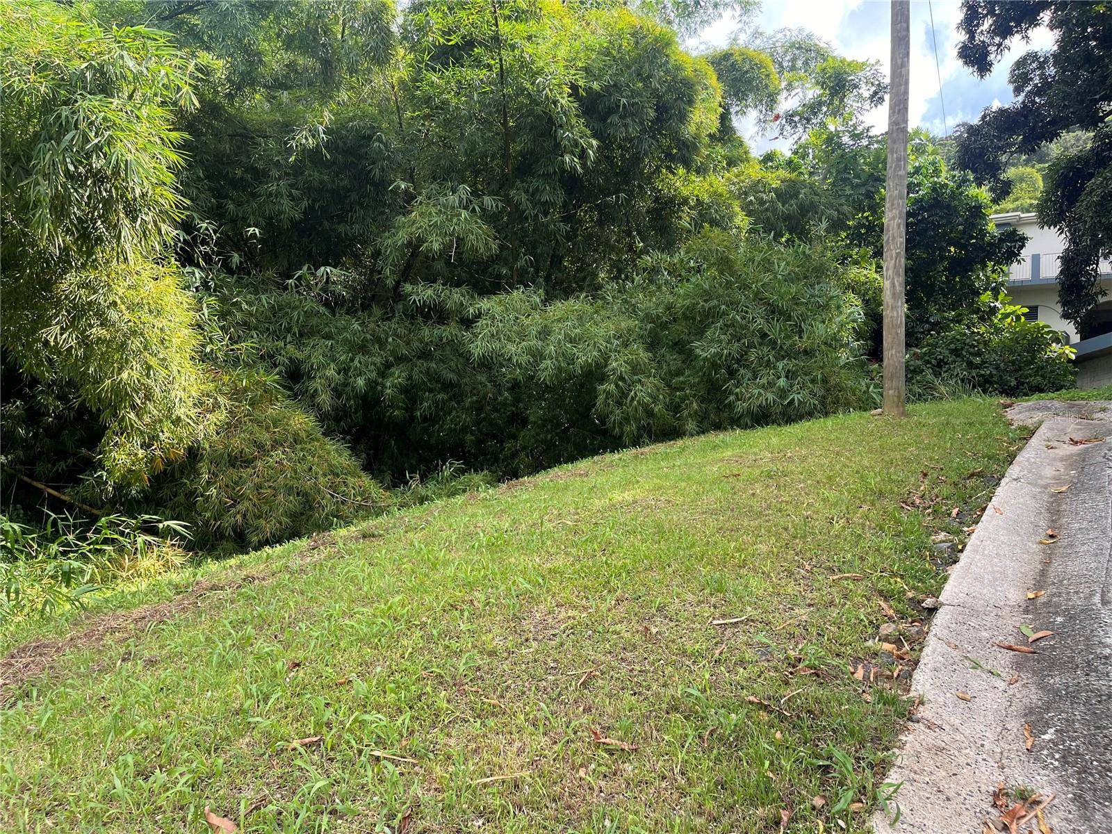 Cayey, PR 00736,Sector Pepe Hoyo BO. MONTELLANO