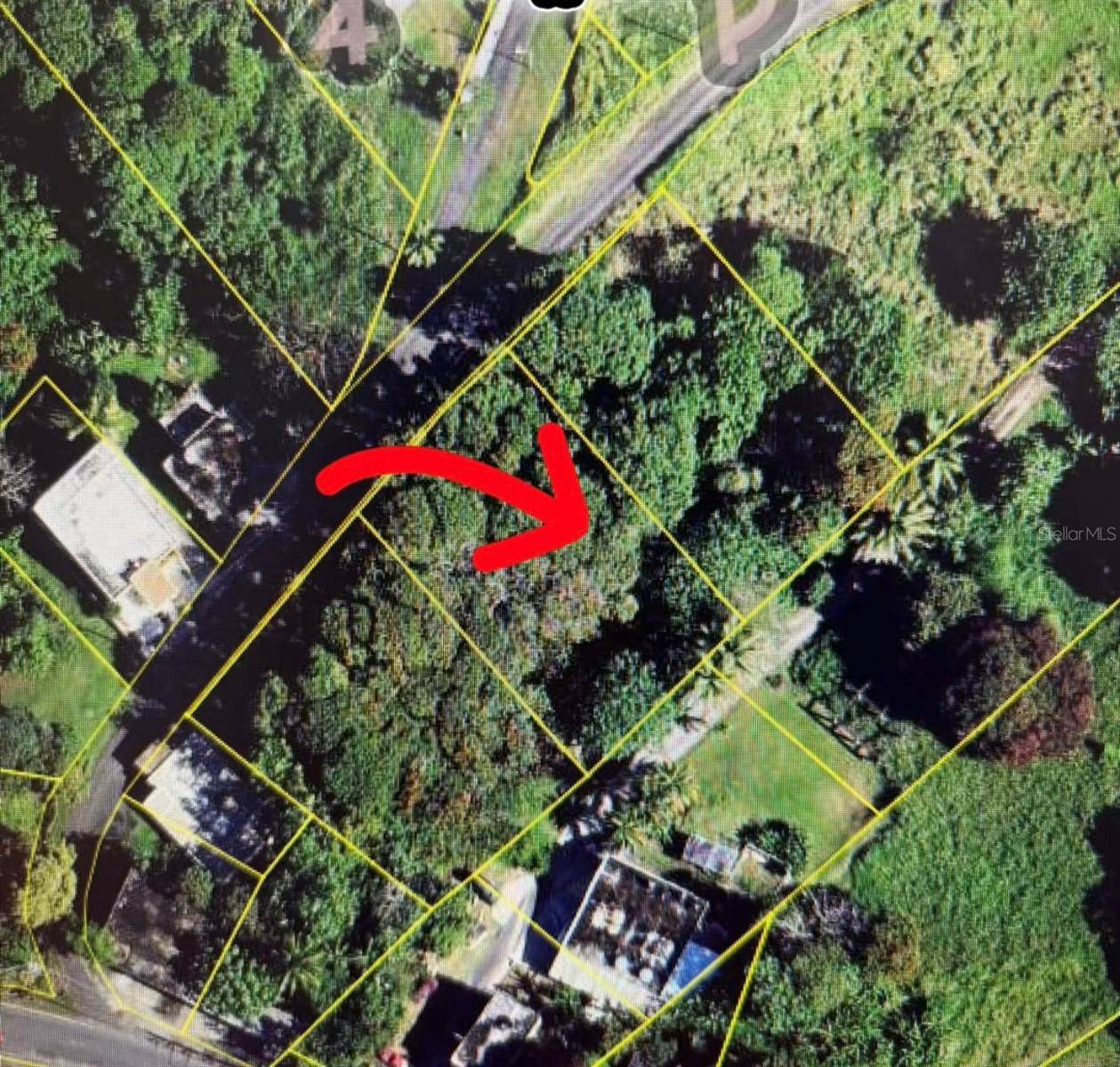 Las Piedras, PR 00771,S2 PR 198 QUEBRADA WARD