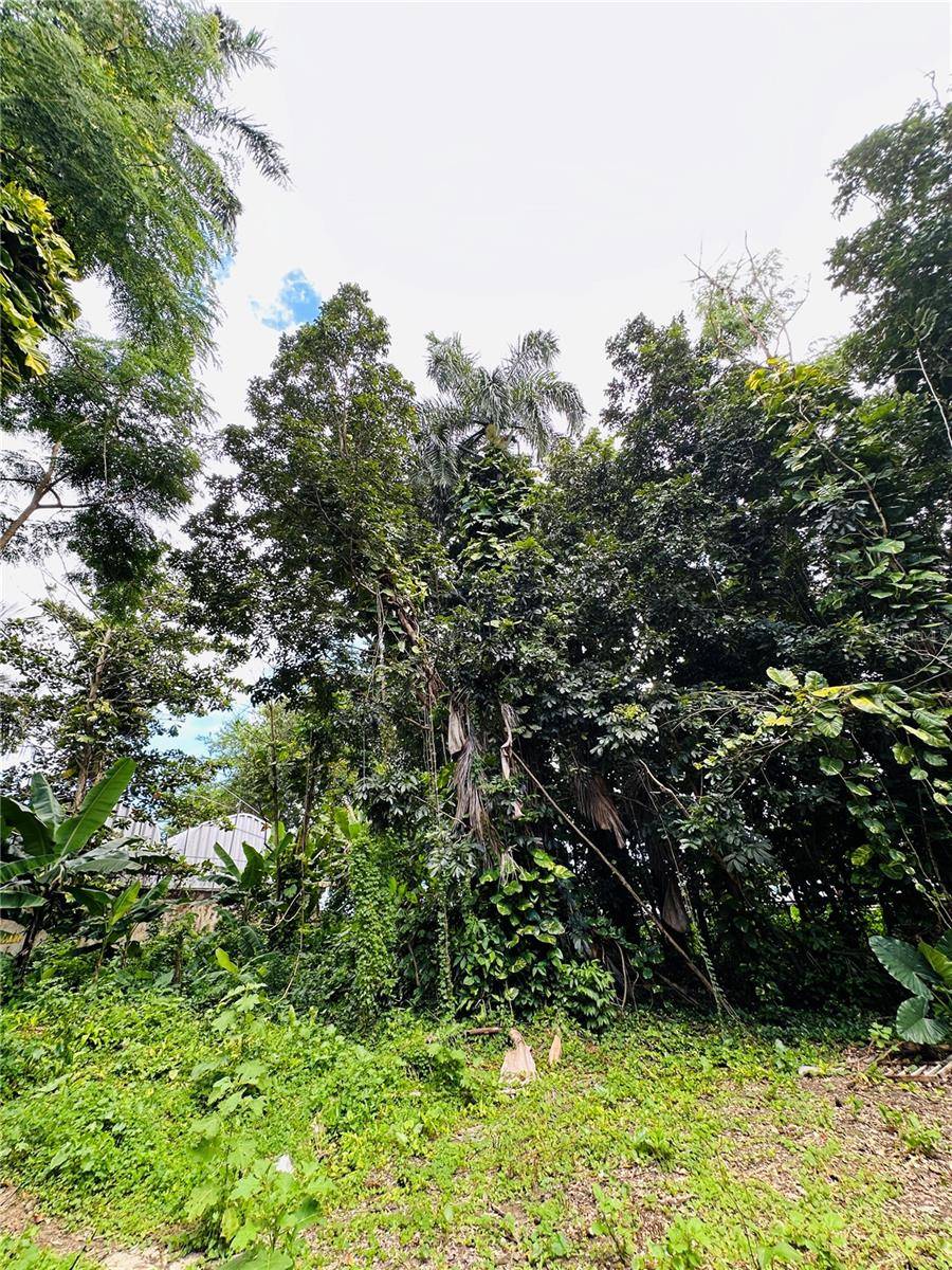 Trujillo Alto, PR 00976,carr 181 BO. LAS CUEVAS