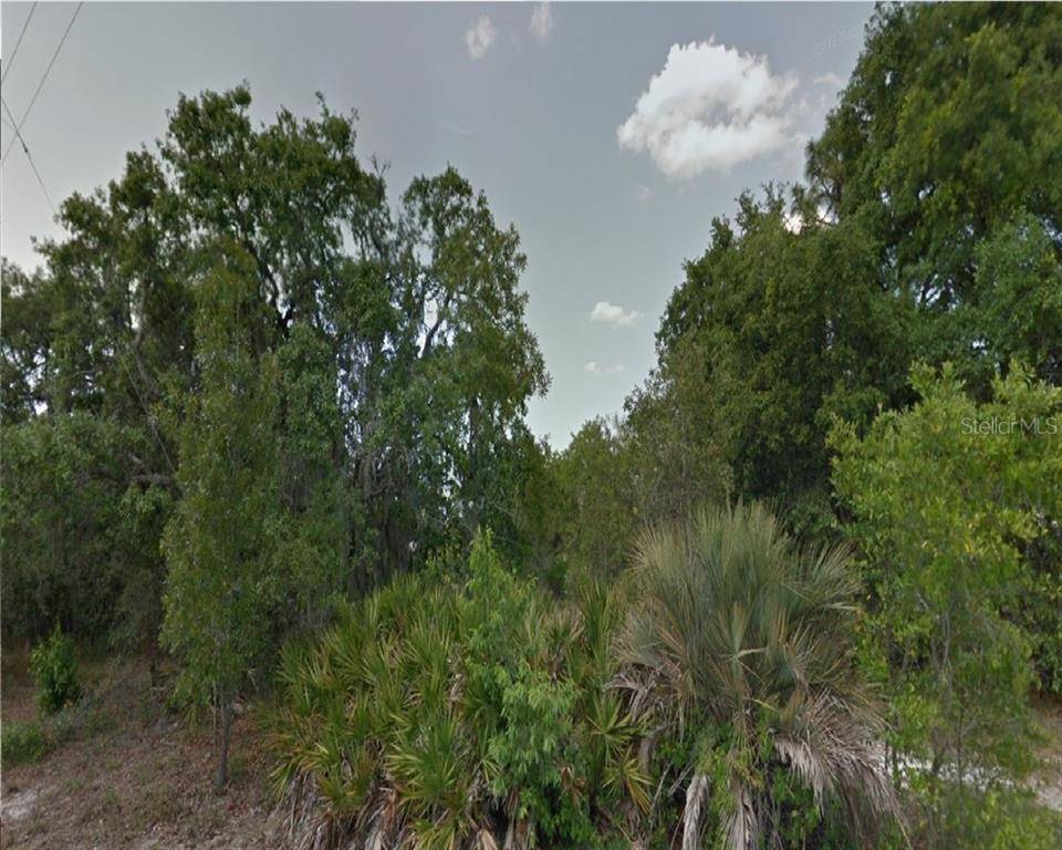 New Port Richey, FL 34654,DORSEY DR