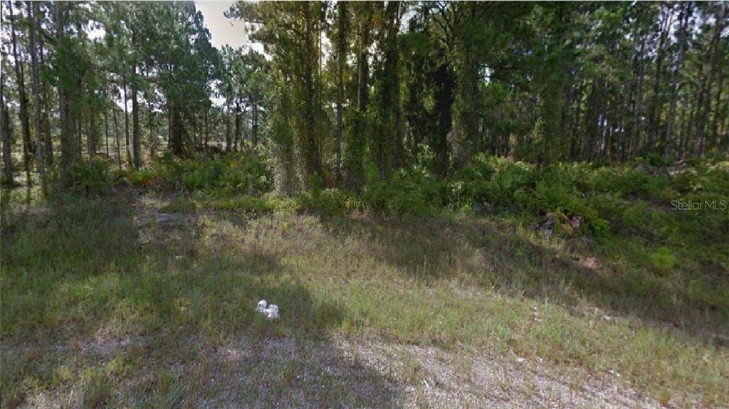 Lehigh Acres, FL 33974,825 APPLETON AVE